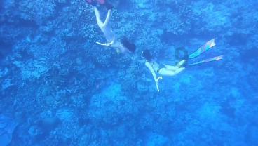 加入王者荣耀女生名字独特知识星球,探索无限知识宇宙!